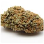 Шишки AK47 (Гидропоника, Бошка) VHQ в Иркутске Шишки AK47 (Гидропоника, Бошка) VHQ в Иркутске