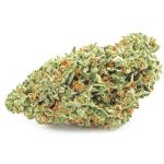 Шишки OG Kush (Гидропоника, бошки) VHQ в Иркутске Шишки OG Kush (Гидропоника, бошки) VHQ в Иркутске